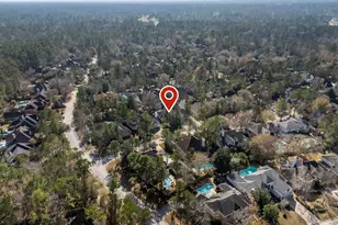 22 Day Lily Pl, Spring, TX 77381 - Photo 44