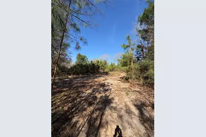 188 Hant Hill Road, Livingston, TX 77351 - Photo 2