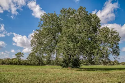 000 Sun Oil Road, Brenham, TX 77833 - Photo 12
