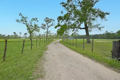 18206 Pickering Rd, Conroe, TX 77302 - Photo 2