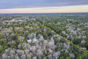 1042 Black Forest Ln, Cat Spring, TX 78933 - Photo 10