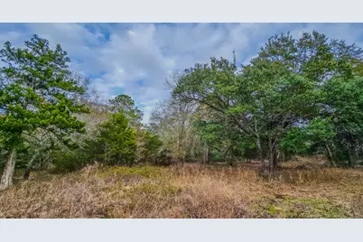 1042 Black Forest Ln, Cat Spring, TX 78933 - Photo 14