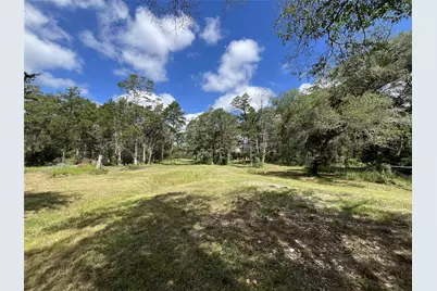 1042 Black Forest Ln, Cat Spring, TX 78933 - Photo 48