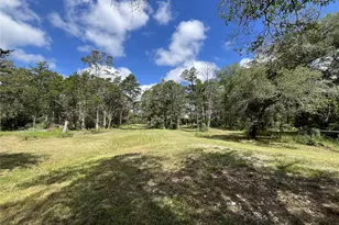 1042 Black Forest Ln, Cat Spring, TX 78933 - Photo 48