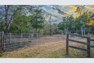 1042 Black Forest Ln, Cat Spring, TX 78933 - Photo 46