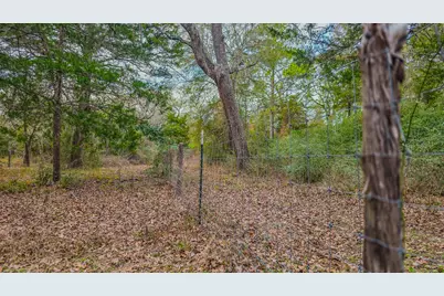 1042 Black Forest Ln, Cat Spring, TX 78933 - Photo 38