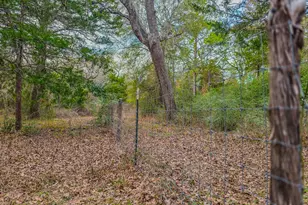 1042 Black Forest Ln, Cat Spring, TX 78933 - Photo 38