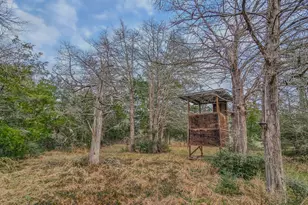 1042 Black Forest Ln, Cat Spring, TX 78933 - Photo 28