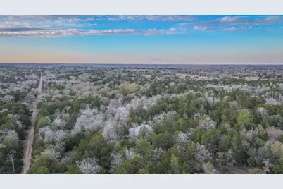 1042 Black Forest Ln, Cat Spring, TX 78933 - Photo 4