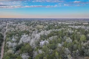 1042 Black Forest Ln, Cat Spring, TX 78933 - Photo 4