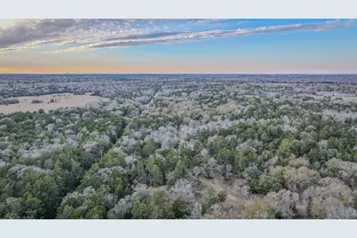 1042 Black Forest Ln, Cat Spring, TX 78933 - Photo 18