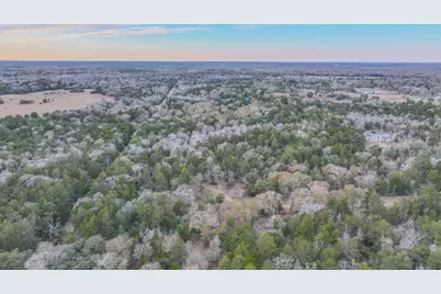1042 Black Forest Ln, Cat Spring, TX 78933 - Photo 36