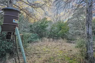 1042 Black Forest Ln, Cat Spring, TX 78933 - Photo 30