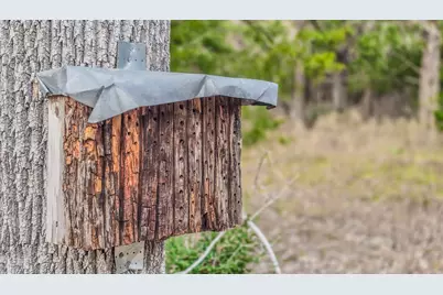 1042 Black Forest Ln, Cat Spring, TX 78933 - Photo 16