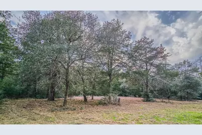 1042 Black Forest Ln, Cat Spring, TX 78933 - Photo 12