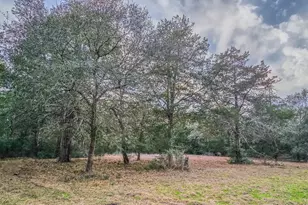 1042 Black Forest Ln, Cat Spring, TX 78933 - Photo 12