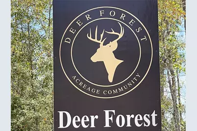 242 Iron Horse Road, New Waverly, TX 77358 - Photo 12