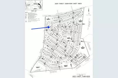 242 Iron Horse Road, New Waverly, TX 77358 - Photo 2