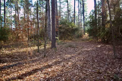 1497 County Road 1170, Kennard, TX 75847 - Photo 24