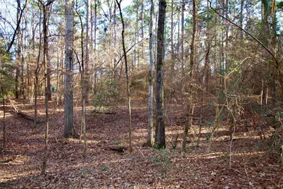 1497 County Road 1170, Kennard, TX 75847 - Photo 22