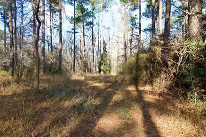 1497 County Road 1170, Kennard, TX 75847 - Photo 12