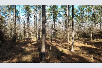 1497 County Road 1170, Kennard, TX 75847 - Photo 4