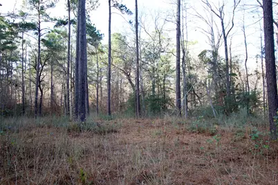 1497 County Road 1170, Kennard, TX 75847 - Photo 14