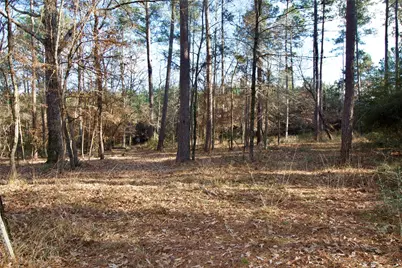 1497 County Road 1170, Kennard, TX 75847 - Photo 26