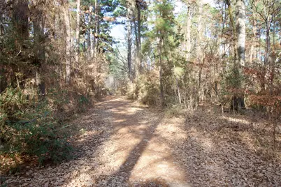 1497 County Road 1170, Kennard, TX 75847 - Photo 6