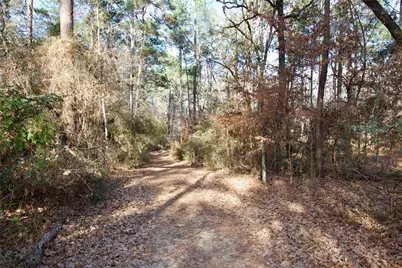 1497 County Road 1170, Kennard, TX 75847 - Photo 8