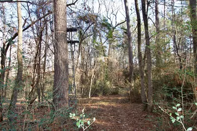 1497 County Road 1170, Kennard, TX 75847 - Photo 18