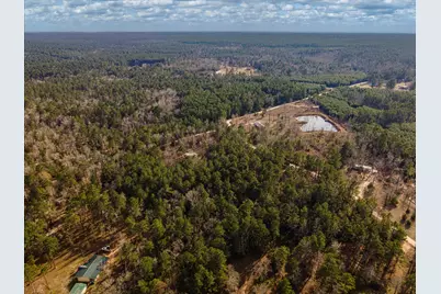 Tbd County Road 1172, Kennard, TX 75858 - Photo 10