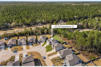 25724 Sweetpea Court, Montgomery, TX 77316 - Photo 2