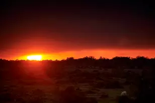 16843 Old Wagon Wy, Hockley, TX 77447 - Photo 46