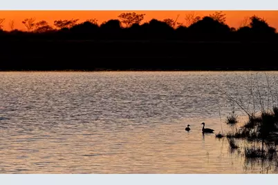 16843 Old Wagon Way, Hockley, TX 77447 - Photo 42