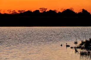 16843 Old Wagon Wy, Hockley, TX 77447 - Photo 42