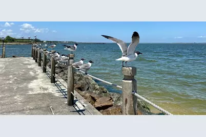 610 Lost Creek Drive, Baytown, TX 77523 - Photo 42