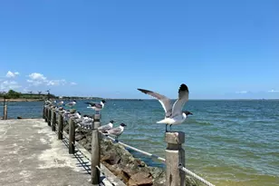 610 Lost Crk Dr, Baytown, TX 77523 - Photo 42