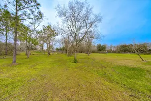 2923 County Rd 292, Alvin, TX 77511 - Photo 34