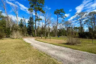 193 Co Rd 355, Jasper, TX 75951 - Photo 4