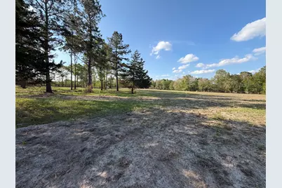 Tbd N County Road 4050, Lovelady, TX 75851 - Photo 1