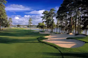 3202 Pine Hollow Cir, Montgomery, TX 77356 - Photo 32