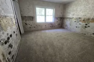 424 Co Rd 140, Liberty, TX 77575 - Photo 6