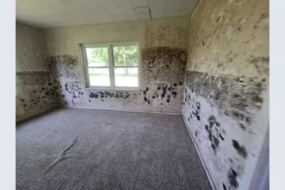 424 County Road 140, Liberty, TX 77575 - Photo 12