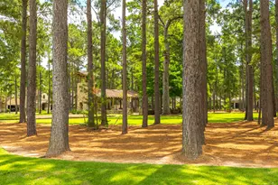 79 W Jagged Ridge Cir, Spring, TX 77389 - Photo 44