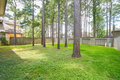 79 W Jagged Ridge Circle, Spring, TX 77389 - Photo 42