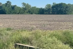 1408 N Blue Creek Rd, El Campo, TX 77437 - Photo 10