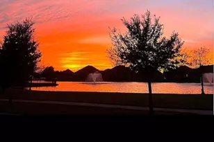 119 Lake View Loop, Fulshear, TX 77441 - Photo 50