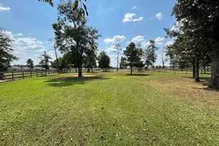 6263 Rolling Hills Rd, Conroe, TX 77303 - Photo 6