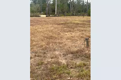 7962 Parker Elaine Drive, Conroe, TX 77306 - Photo 6